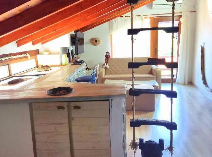 Art Capitain 招待所 3*