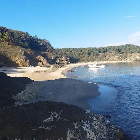 بيت ضيافة Art Capitain