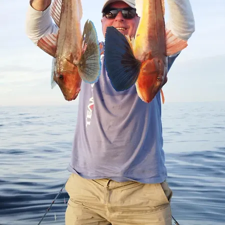 بيت ضيافة Art Capitain سينيموريتس