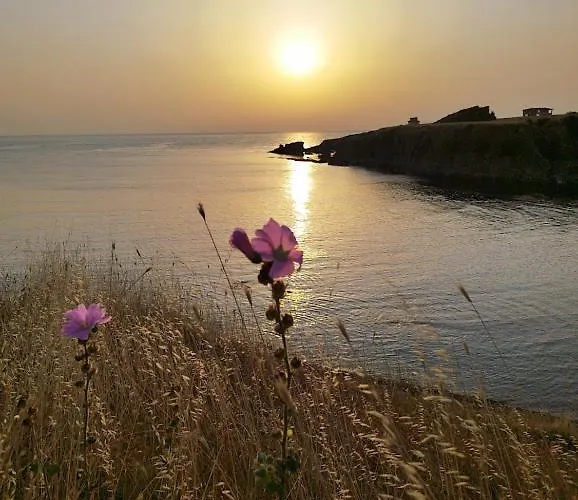 Art Capitain Szinemorec