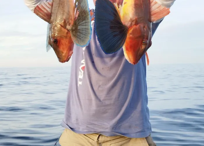 Vendégház Art Capitain Szinemorec